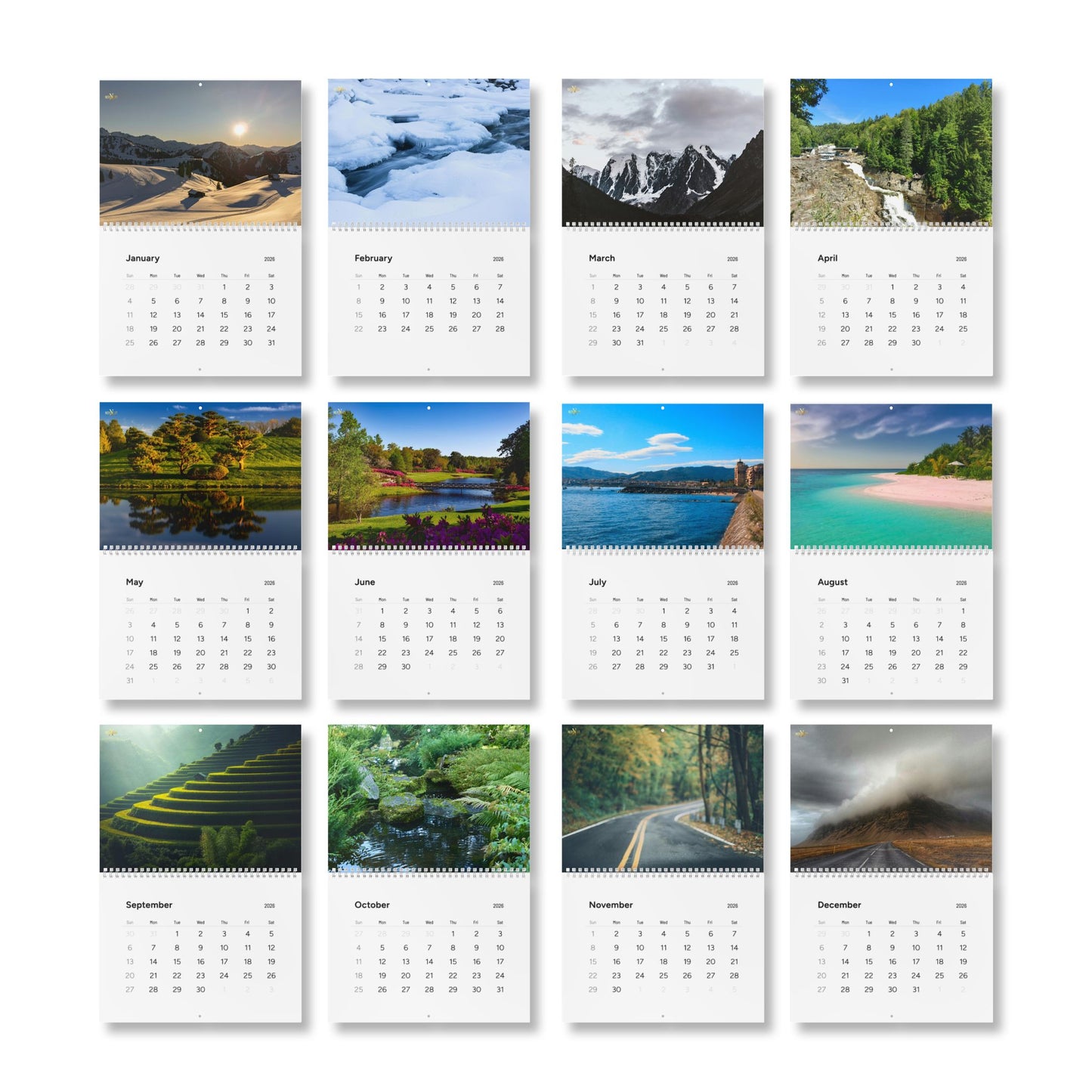Standard Wall Calendar 2026 | Nature Photography, Monthly Planner, Yearly Organizer, Home & Office Decor