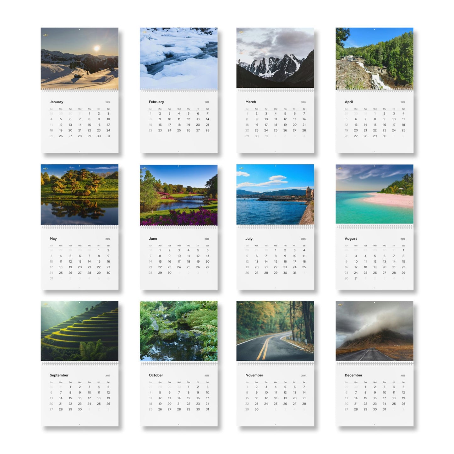 Standard Wall Calendar 2026 | Nature Photography, Monthly Planner, Yearly Organizer, Home & Office Decor