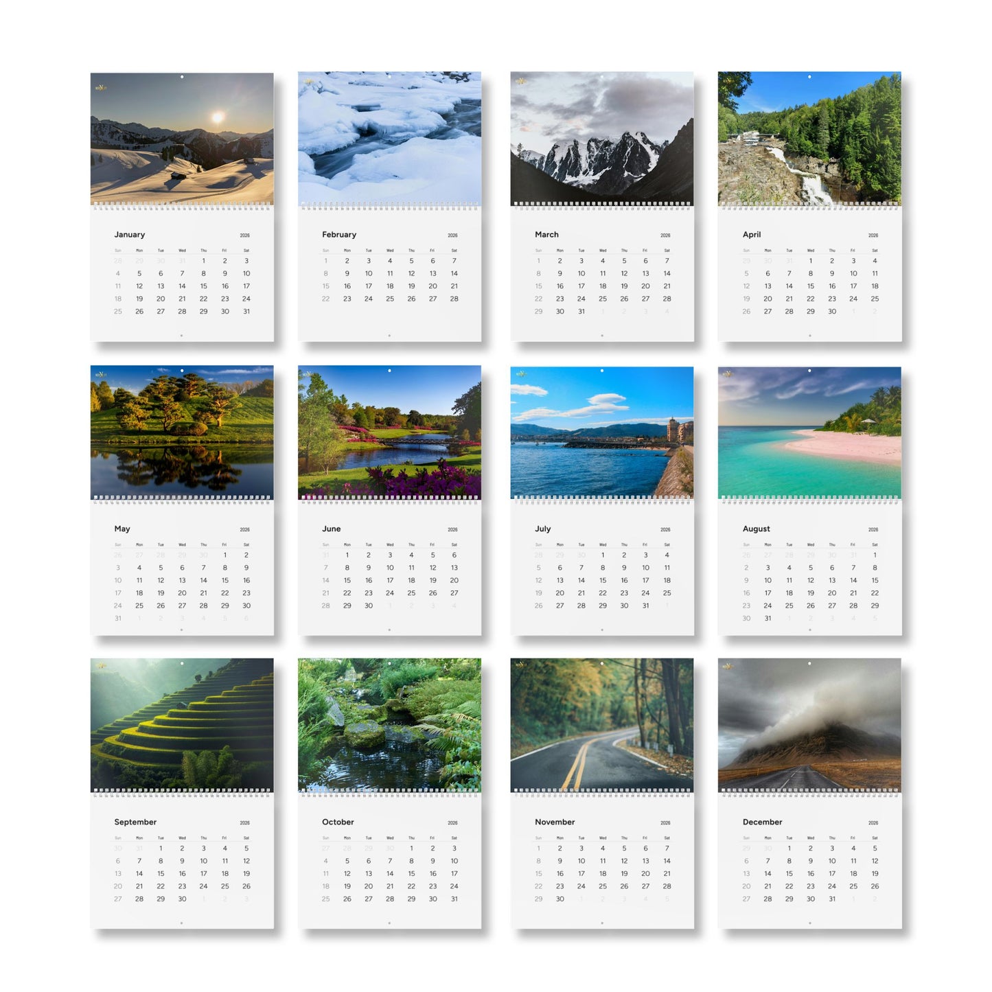 Standard Wall Calendar 2026 | Nature Photography, Monthly Planner, Yearly Organizer, Home & Office Decor