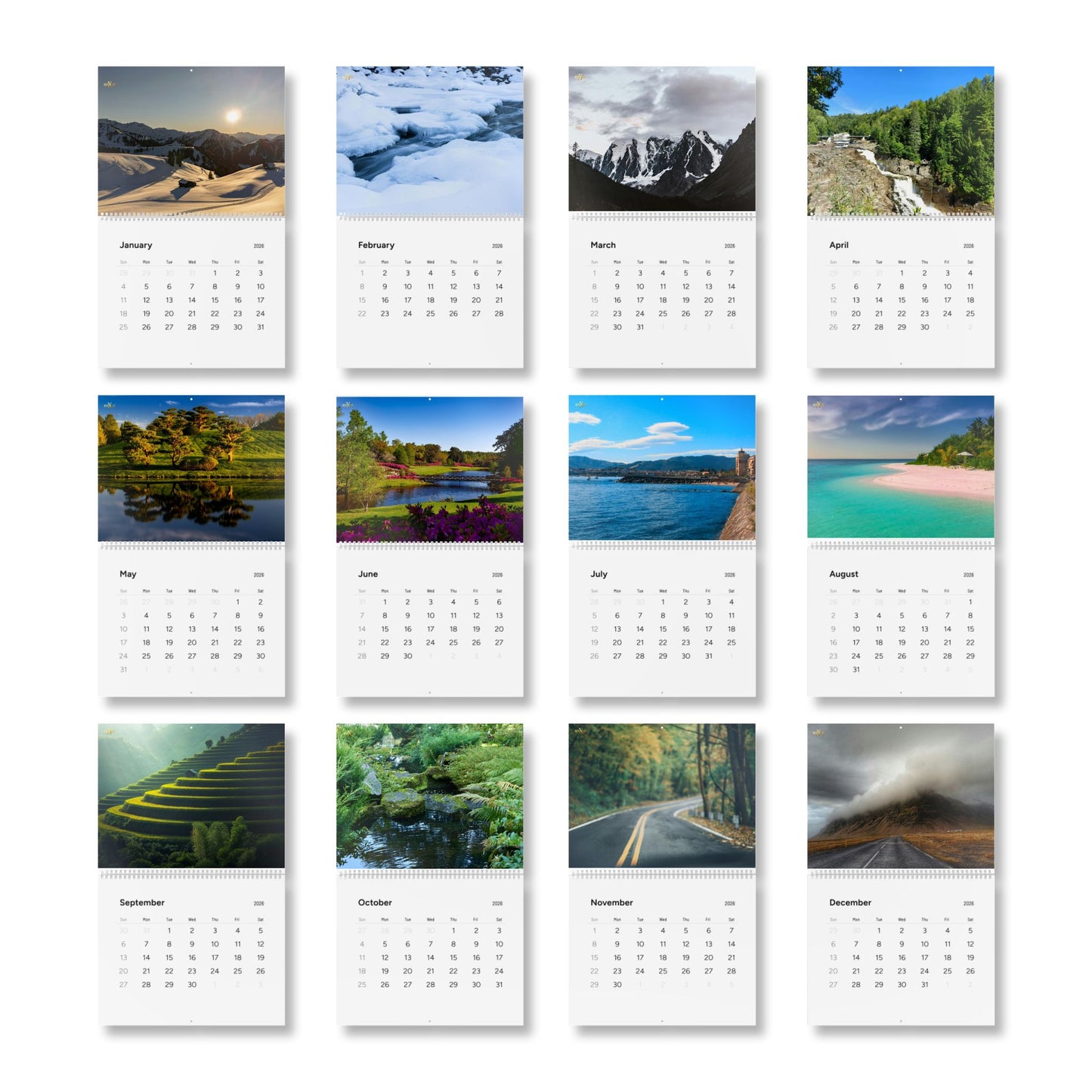 Standard Wall Calendar 2026 | Nature Photography, Monthly Planner, Yearly Organizer, Home & Office Decor